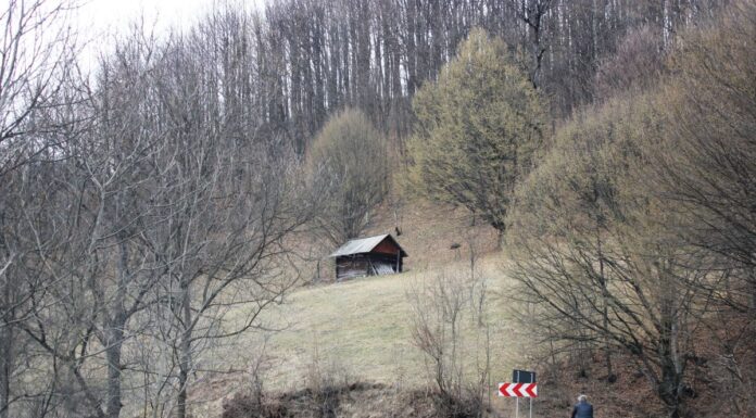 Echinox – De cele mai multe ori, curățenia impune respect