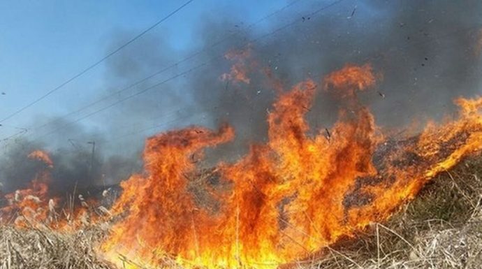 Incendii de vegetație în patru comune din Gorj!