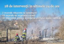 ISU Gorj: 12 incendii în 24 de ore! Prim-ajutor în 16 cazuri