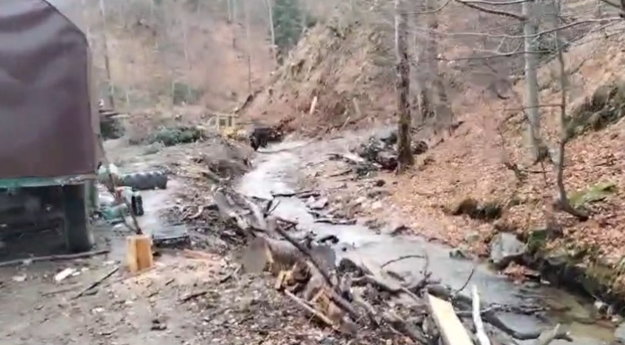 Localnic din Glogova, amendat de jandarmi