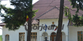 Patron de club din Novaci condamnat pentru că a condus băut! Somat cu pistolul!