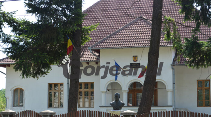 Patron de club din Novaci condamnat pentru că a condus băut! Somat cu pistolul!