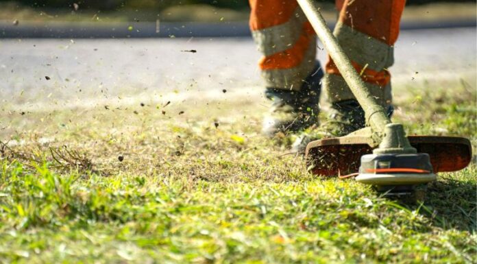 Cum îți pregătești motocoasa pentru primăvară – Ghid practic