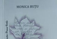 Mergând pe strada poesisului