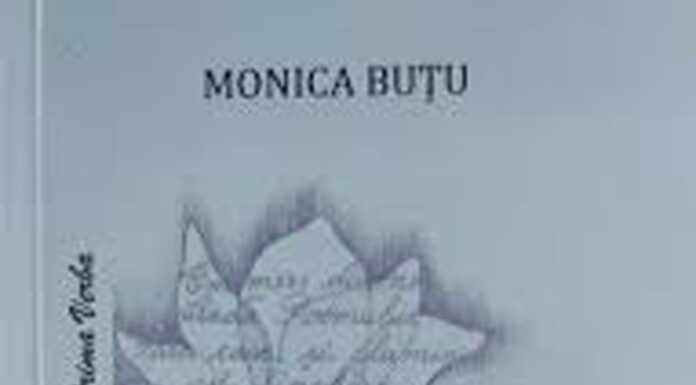 Mergând pe strada poesisului