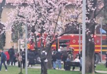 UPDATE: Alarmă falsă la Școala ”Alexandru Ștefulescu”