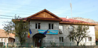 Concurs la Primăria Padeș