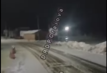 Rânca, acoperită de grindină