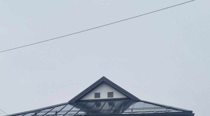 Câți fermieri au depus Cererile Unice la APIA Gorj în primele zile de campanie