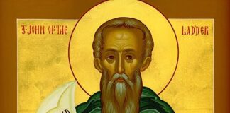 Viaţa Spirituală – Calea, Lumina, Adevărul şi Viaţa – Dumnezeu face totul cu Voia Lui sfântă, cu participarea efectivă şi conştientă a omului, această participare însemnând, mai întâi, actul credinţei adevărate!