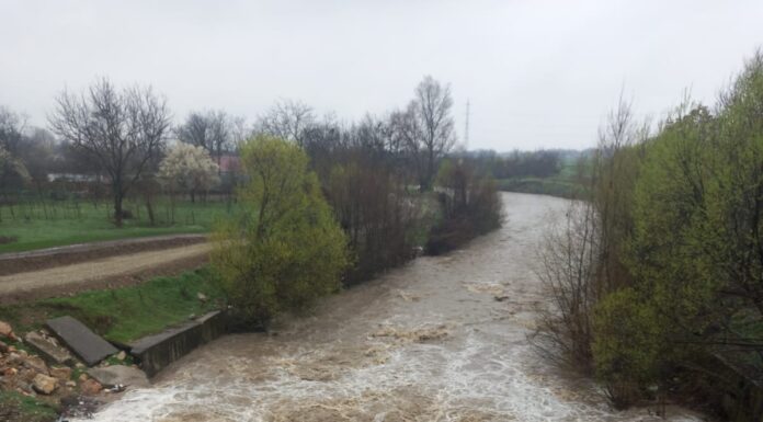 Râul Șușița, care secase complet, ”s-a umflat”. Lucrări la îndiguire (Foto/video)