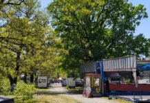 Pregătiri în linie dreaptă pentru sărbătoarea de 1 Mai de la Drăgoeni