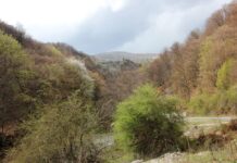 Echinox de Prier – Din nou, pe Șușița Seacă spre Bordul Dobriței