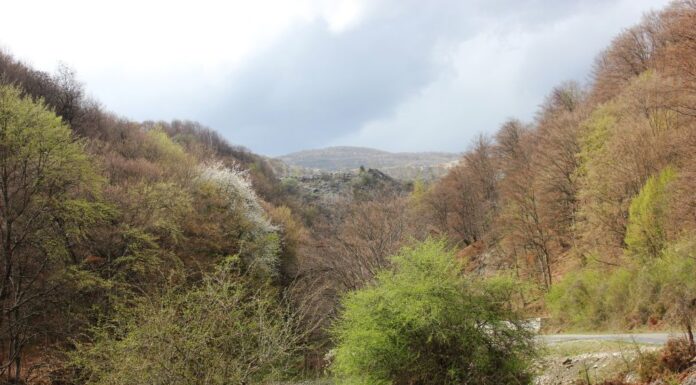 Echinox de Prier – Din nou, pe Șușița Seacă spre Bordul Dobriței