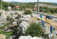 Spectacolul naturii – Înflorirea liliacului, o manifestare ce ar putea fi comparată cu sărbătoarea florilor de cireș din Țara ,,Soarelui Răsare’’