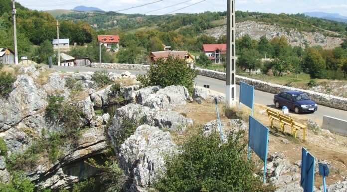 Spectacolul naturii – Înflorirea liliacului, o manifestare ce ar putea fi comparată cu sărbătoarea florilor de cireș din Țara ,,Soarelui Răsare’’