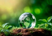 Cazinouri ecologice: cum adoptă iGaming-ul tendințele verzi