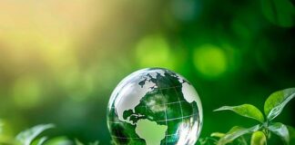 Cazinouri ecologice: cum adoptă iGaming-ul tendințele verzi