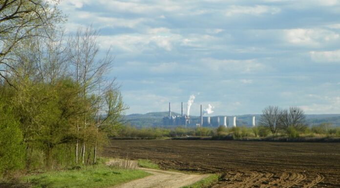 De primăvară – Povestiri din lumea de piatră a Jiului de Sus