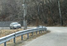 ASTENII DE PRIMĂVARĂ – Perimetre ecologizate în beneficiul comunităților locale