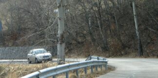 ASTENII DE PRIMĂVARĂ – Perimetre ecologizate în beneficiul comunităților locale