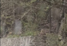 Lucrări de rănguire în Defileul Jiului