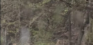 Lucrări de rănguire în Defileul Jiului