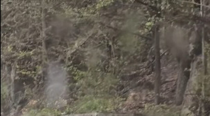 Lucrări de rănguire în Defileul Jiului