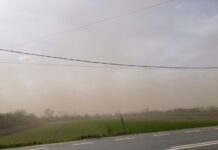 VIDEO: Vreme rea în tot Gorjul! Vânt și ninsori!