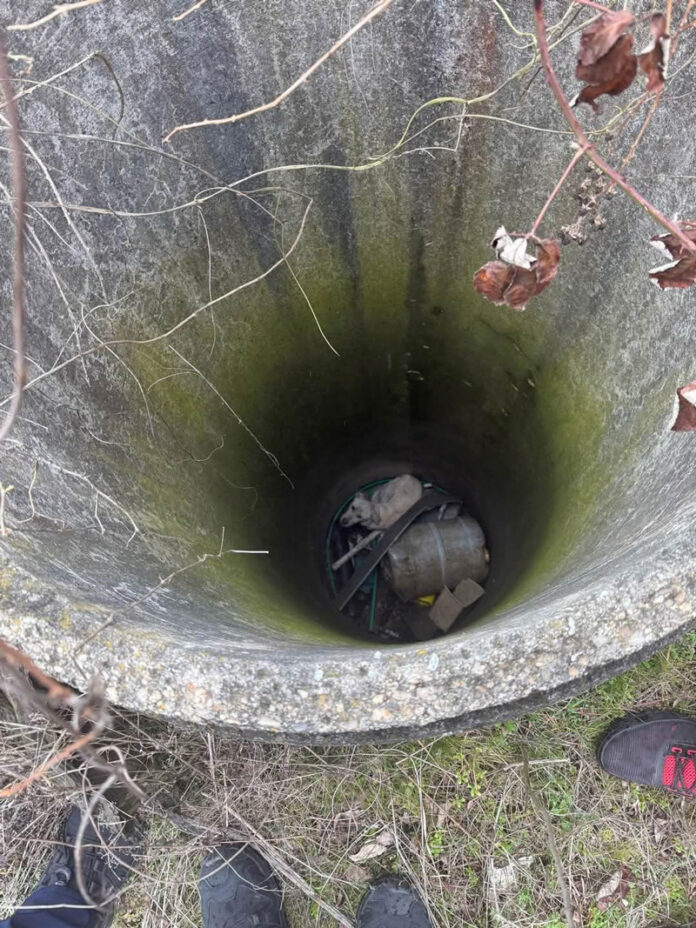 6d6e9b3d-72d8-4a8c-b8f5-d8417d26328b