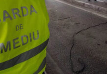 Percheziții la Garda de Mediu Gorj