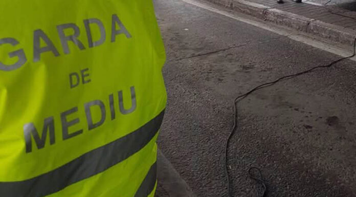 Percheziții la Garda de Mediu Gorj