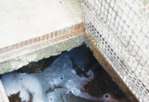 Turceni: Patron amendat de comisarii de mediu