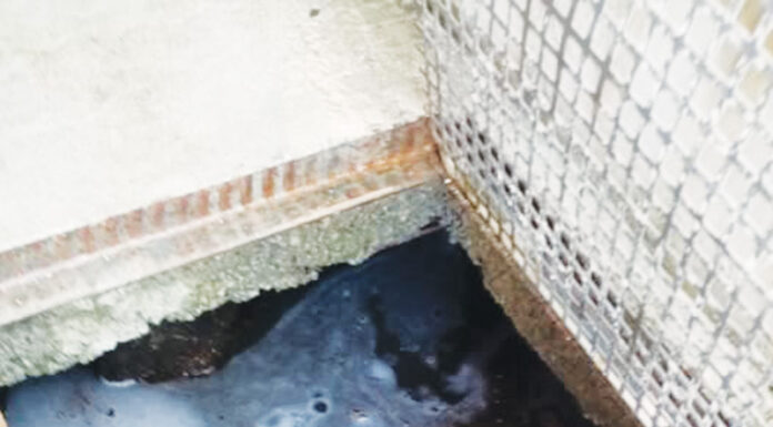 Turceni: Patron amendat de comisarii de mediu