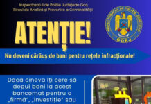 IPJ: ,,Atenție! Nu deveni cărăuș de bani pentru rețele infracţionale!”