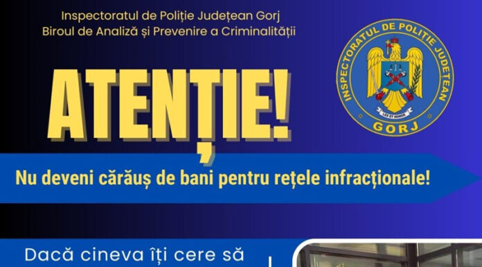 IPJ: ,,Atenție! Nu deveni cărăuș de bani pentru rețele infracţionale!”