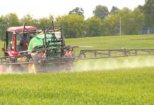 Agricultura pe înțelesul tuturor – Erbicidarea cerealelor păioase în primăvară ploioasă