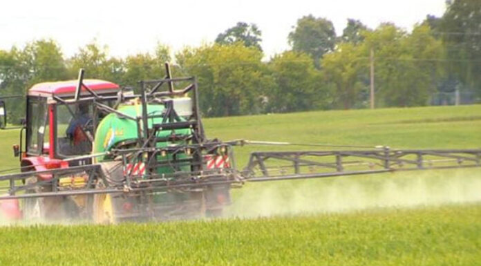 Agricultura pe înțelesul tuturor – Erbicidarea cerealelor păioase în primăvară ploioasă