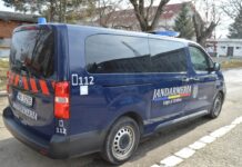 Prezenţa urşilor a fost semnalată, prin apel 112, în Gorj! Jandarmii au intervenit