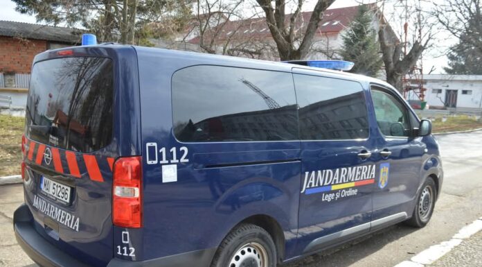 Prezenţa urşilor a fost semnalată, prin apel 112, în Gorj! Jandarmii au intervenit