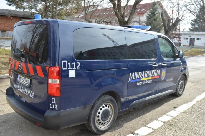 Prezenţa urşilor a fost semnalată, prin apel 112, în Gorj! Jandarmii au intervenit