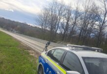 Filtre ale Poliției Rutiere, în tot județul