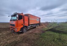 FOTO: Un șofer care transporta cu mașina găinaț, amendat de polițiști