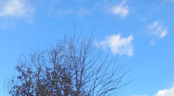 Poliția, la Bârsești! Un bărbat s-a urcat pe acoperiș și aruncă în stradă țigla de pe casă