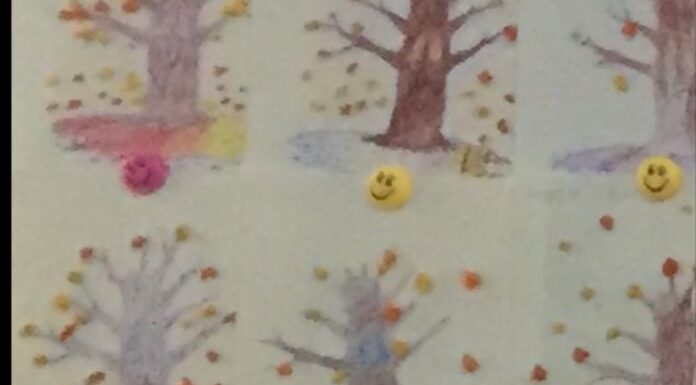 Eleva Ștefania Tudosie, un fenomen în domeniul olimpiadelor școlare