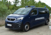 Alertă în Gorj! Urși alungați de jandarmi