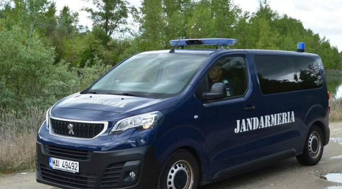 Alertă în Gorj! Urși alungați de jandarmi