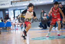 Minibaschetul, oficial în școli