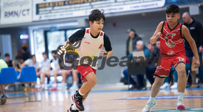 Minibaschetul, oficial în școli