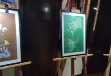 ,,Noaptea Muzeelor”, ediția din 2025, va fi anulată